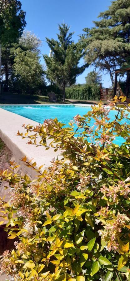Cabanas Farah Estancia Vieja Ideal Para 2 A 3 Huespedes Villa Carlos Paz Eksteriør billede